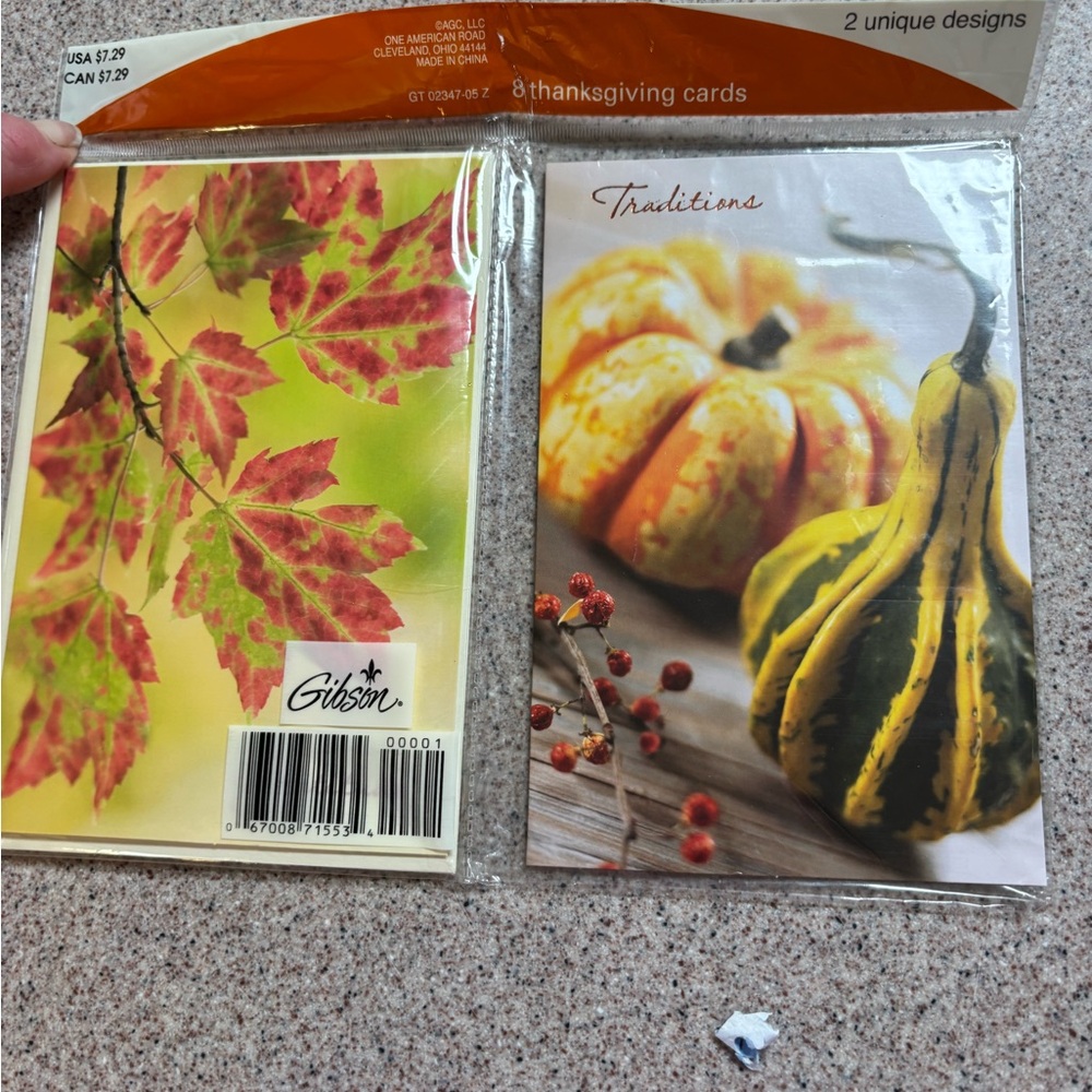 Gibson Thanksgiving Cards 8 total with Thanksgiving sentiment.